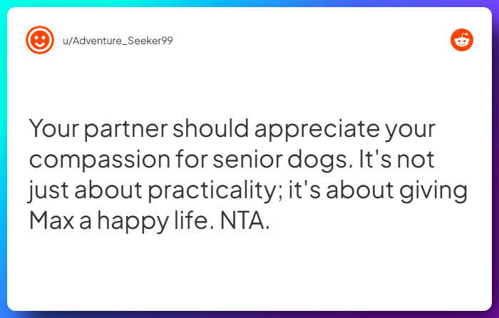 Comment from u/Adventure_Seeker99