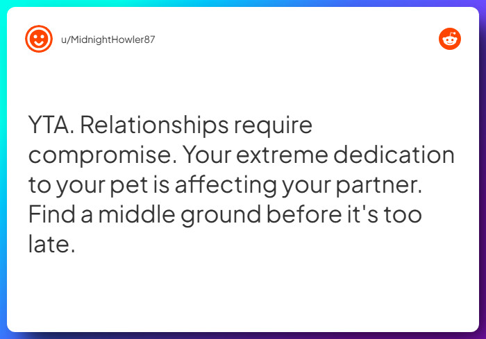 Comment from u/MidnightHowler87