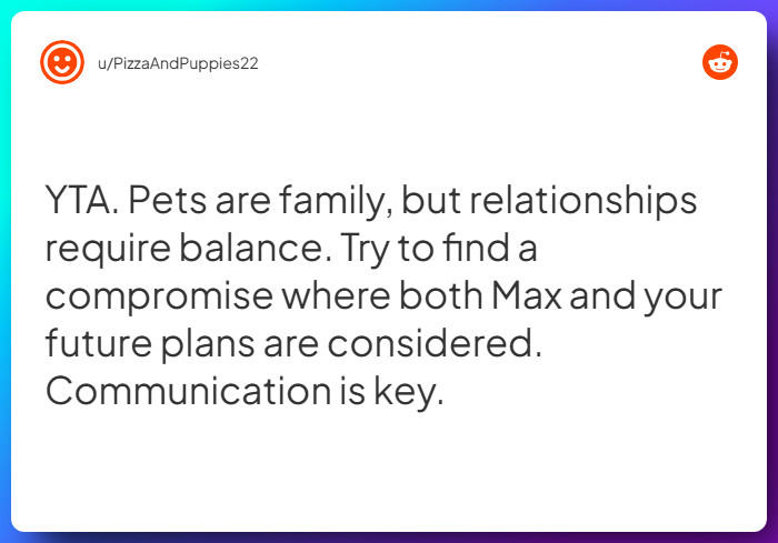 Comment from u/PizzaAndPuppies22