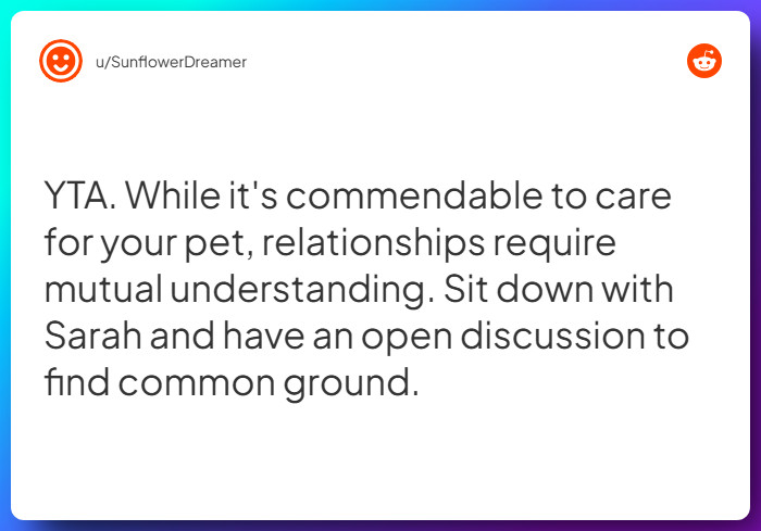 Comment from u/SunflowerDreamer