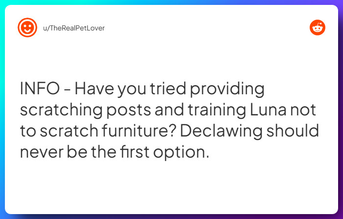 Comment from u/TheRealPetLover