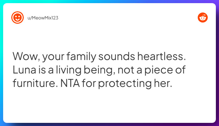 Comment from u/MeowMix123