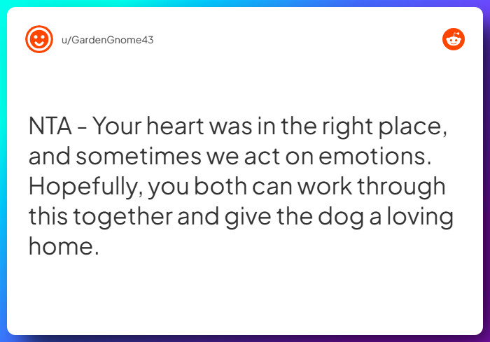 Comment from u/GardenGnome43