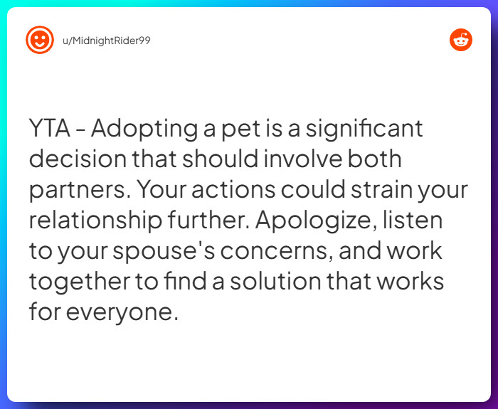 Comment from u/MidnightRider99