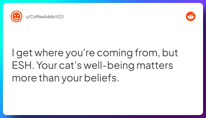 Comment from u/CoffeeAddict123