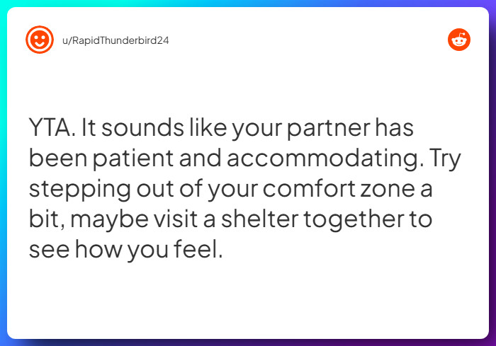 Comment from u/RapidThunderbird24