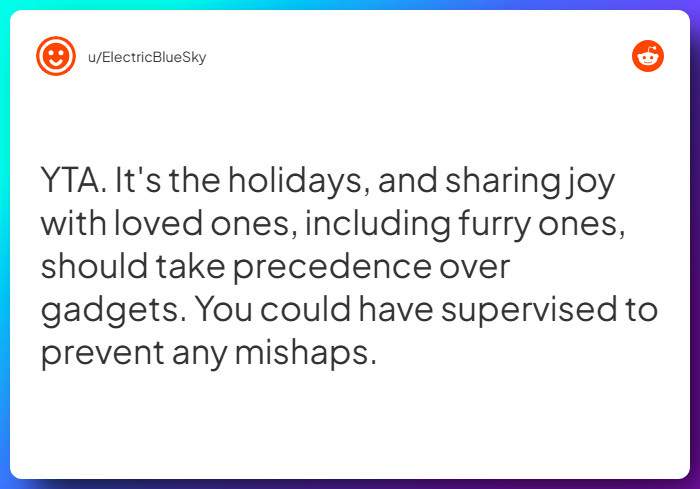 Comment from u/ElectricBlueSky