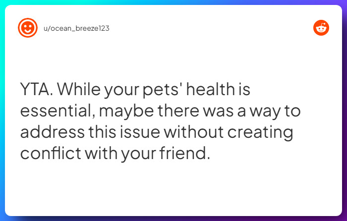 Comment from u/ocean_breeze123