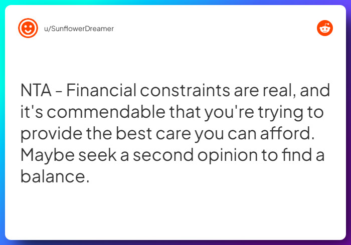 Comment from u/SunflowerDreamer