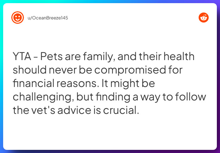 Comment from u/OceanBreeze145