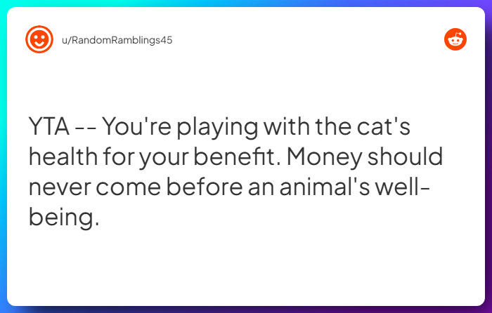 Comment from u/RandomRamblings45