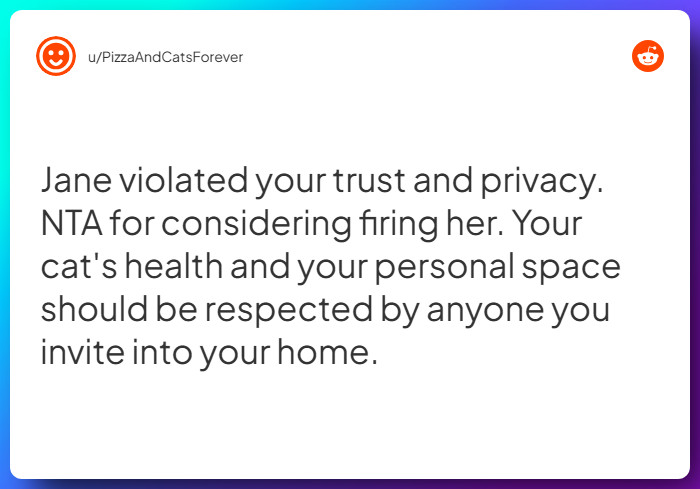 Comment from u/PizzaAndCatsForever