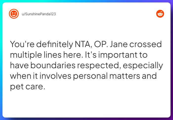 Comment from u/SunshinePanda123