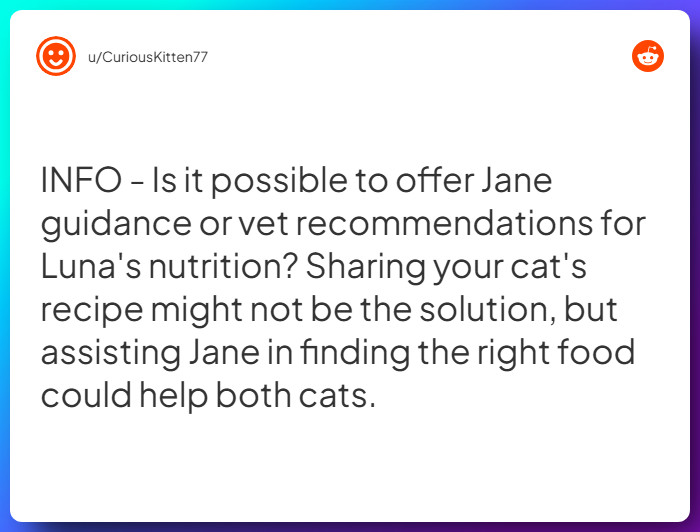 Comment from u/CuriousKitten77