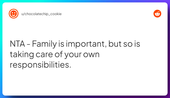 Comment from u/chocolatechip_cookie