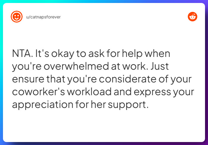 Comment from u/catnapsforever