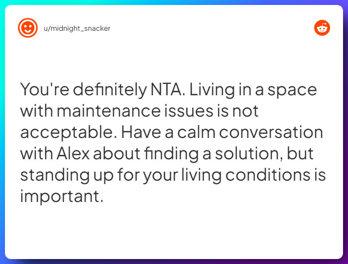 Comment from u/midnight_snacker