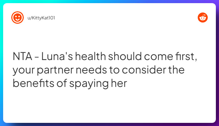 Comment from u/KittyKat101