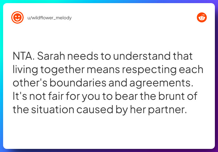 Comment from u/wildflower_melody