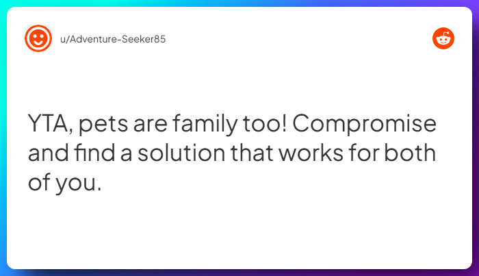 Comment from u/Adventure-Seeker85