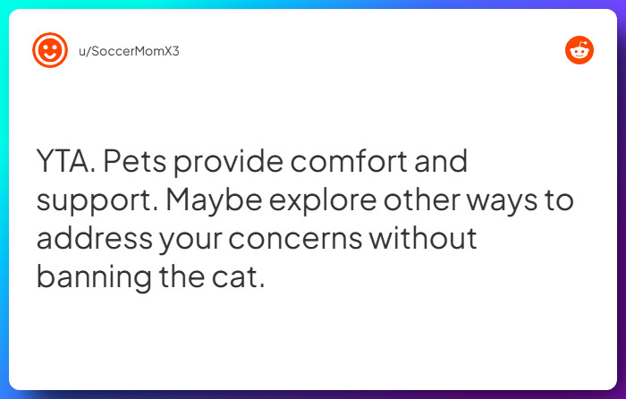 Comment from u/SoccerMomX3