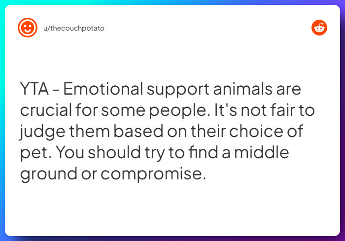 Comment from u/thecouchpotato