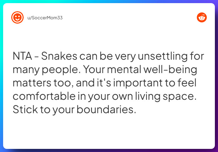 Comment from u/SoccerMom33