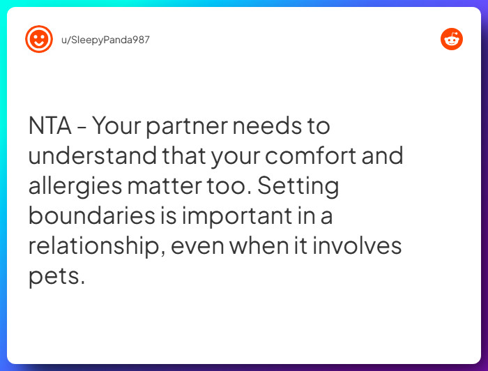 Comment from u/SleepyPanda987