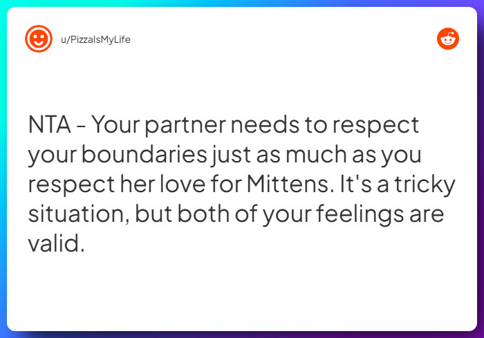 Comment from u/PizzaIsMyLife