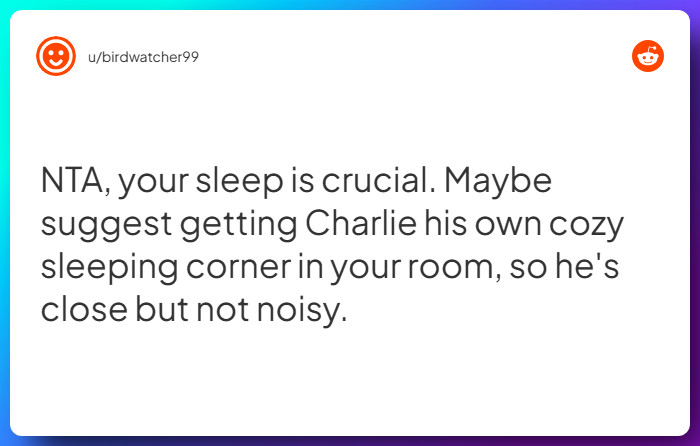 Comment from u/birdwatcher99