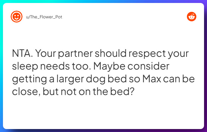 Comment from u/The_Flower_Pot