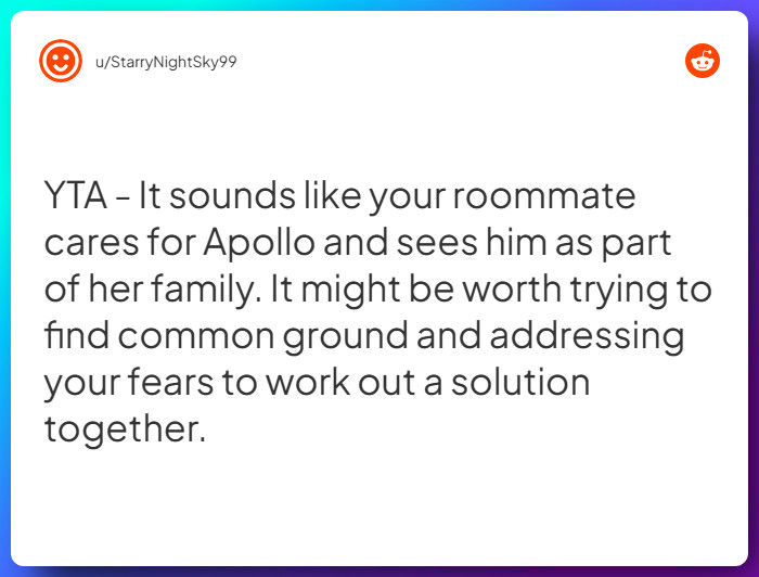 Comment from u/StarryNightSky99