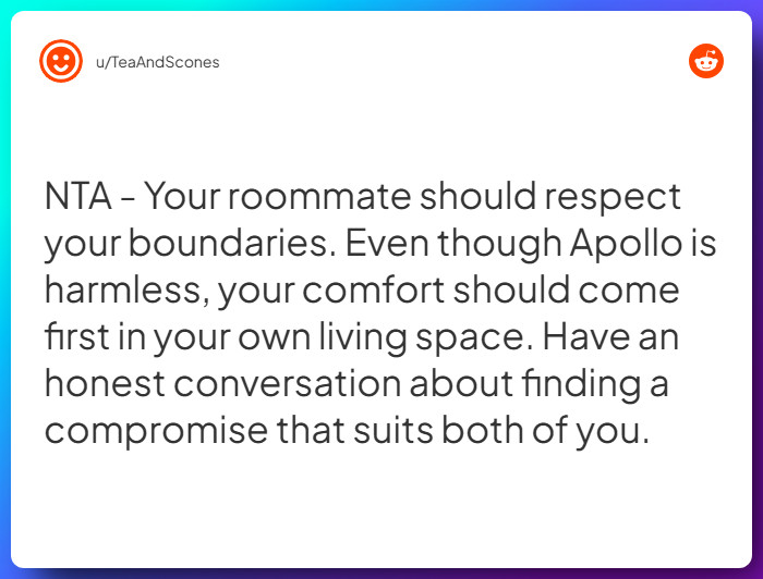 Comment from u/TeaAndScones