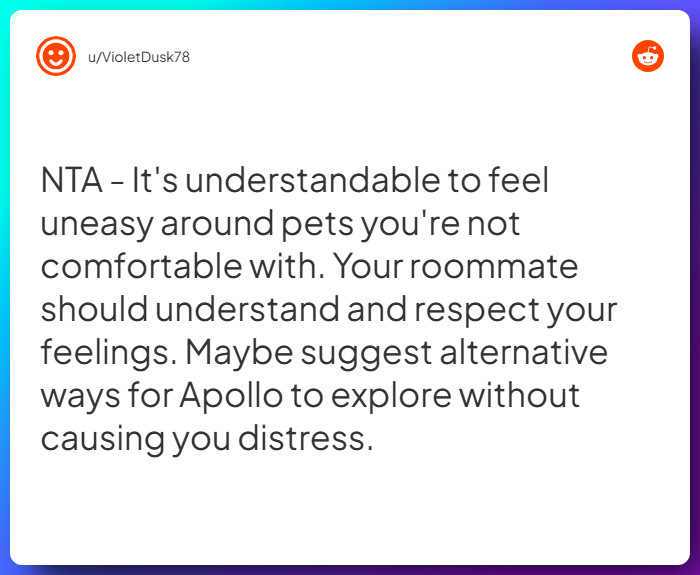 Comment from u/VioletDusk78