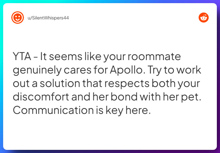 Comment from u/SilentWhispers44