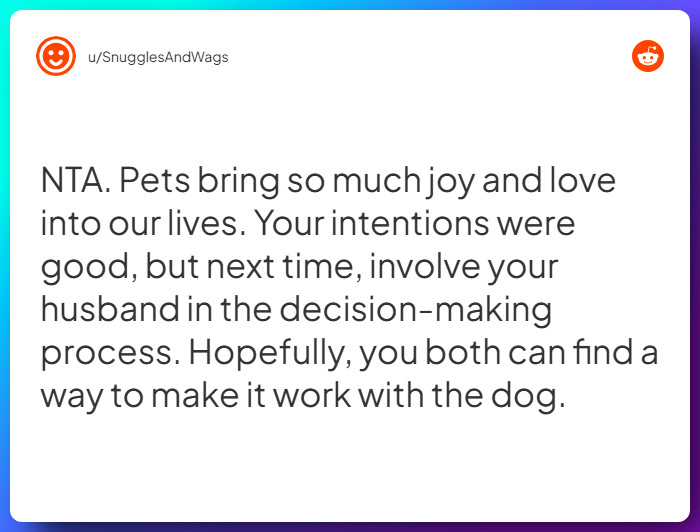 Comment from u/SnugglesAndWags