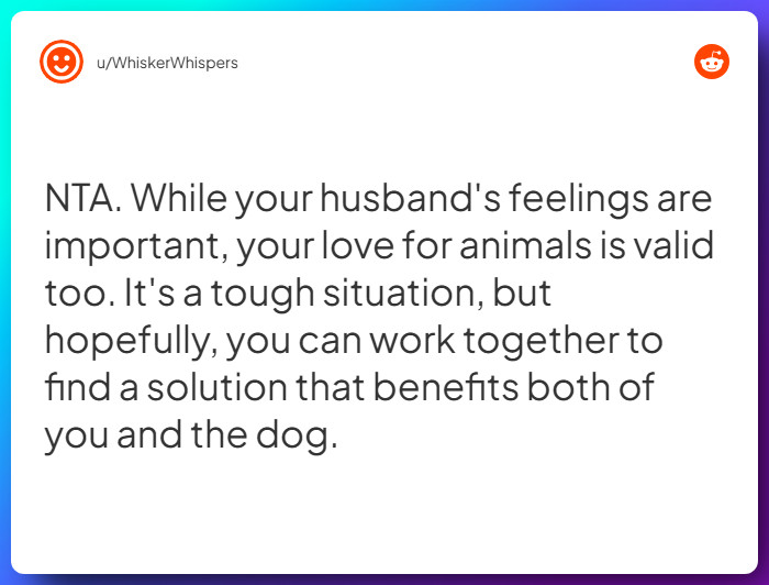 Comment from u/WhiskerWhispers