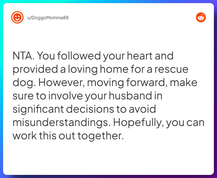 Comment from u/DoggoMomma88