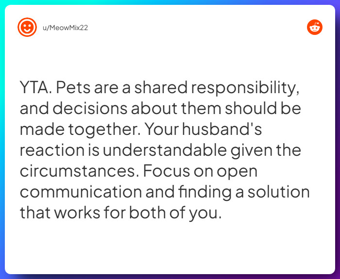 Comment from u/MeowMix22