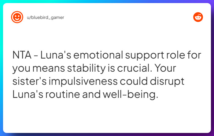 Comment from u/bluebird_gamer