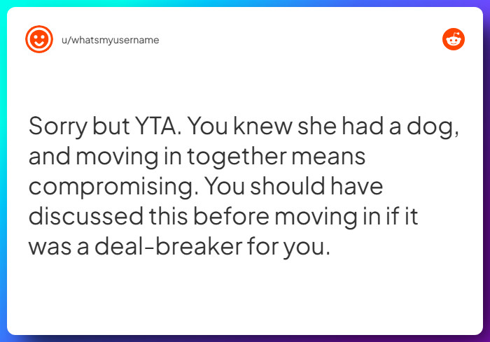 Comment from u/whatsmyusername