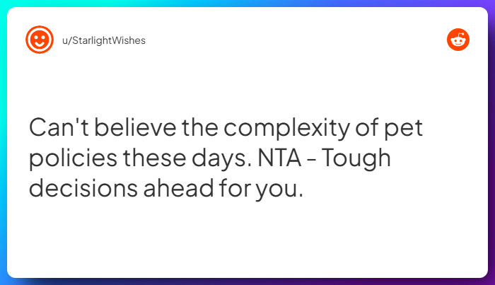 Comment from u/StarlightWishes