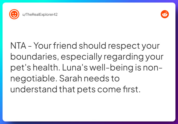 Comment from u/TheRealExplorer42