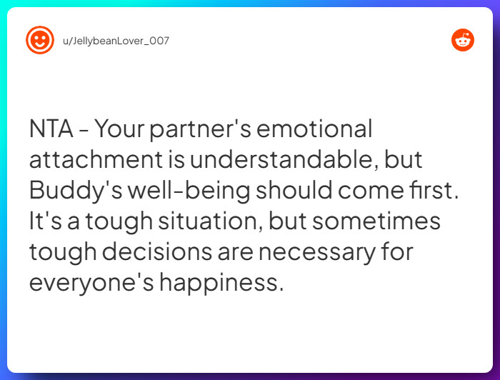 Comment from u/JellybeanLover_007