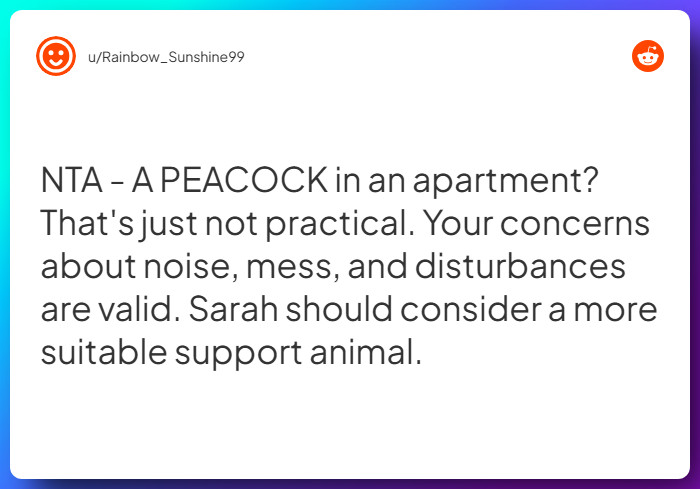 Comment from u/Rainbow_Sunshine99