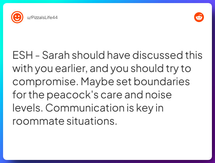 Comment from u/PizzaIsLife44