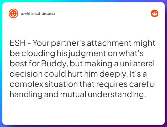 Comment from u/whimsical_dreamer