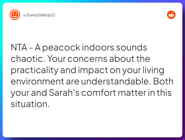 Comment from u/SunnySideUp22