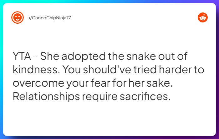 Comment from u/ChocoChipNinja77