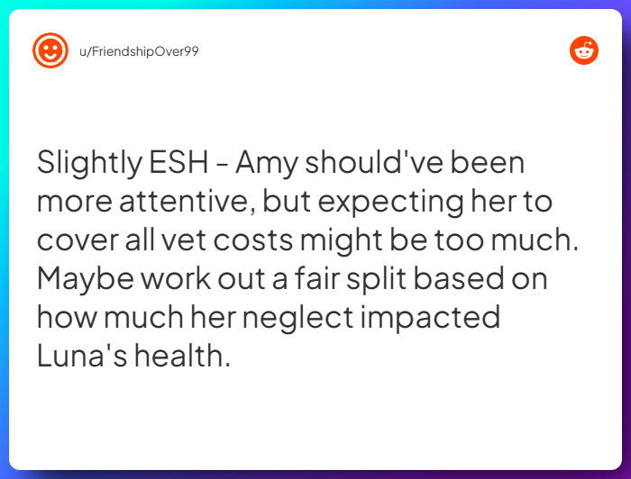 Comment from u/FriendshipOver99